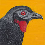 Acrylic portrait of a Dusky-legged 		            Guan